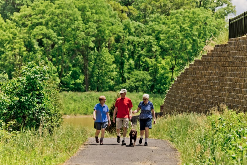 A senior man and two senior women walking a dog outside